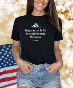 Stegosaurus Is My Second Favorite Dinssaur Shirts