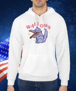 Wallows Cat Fiddle Shirt