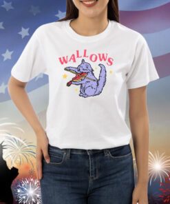 Wallows Cat Fiddle T-Shirts