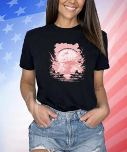 We Can't Afford Healthcare Shirts