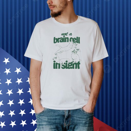 Weirdlilguys Not A Brain Cell In Sight Shirt