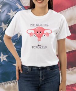 What Is A Uterus If Not A Child Shirts