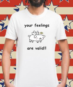 Your Feelings Are Valid Shirt