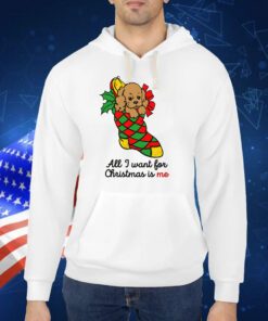 All I Want For Christmas Is Me TShirt