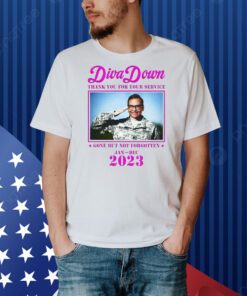 Diva Down Thank You For Your Service George Santos Shirt