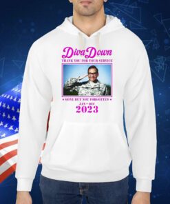 Diva Down Thank You For Your Service George Santos TShirt