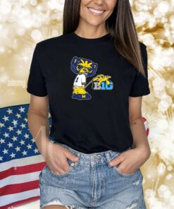 MI Big 10 TShirts