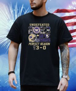 Washington Huskies Undefeated Go Huskies Perfect Season Shirt