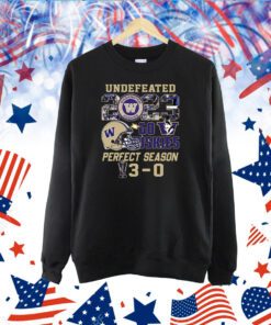 Washington Huskies Undefeated Go Huskies Perfect Season TShirt