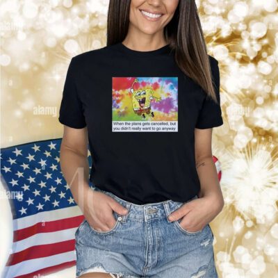 When The Plans Gets Cancelled But You Didn't Really Want To Go Anyway Shirts