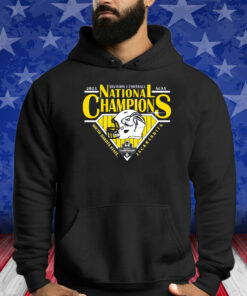 South Dakota State Jackrabbits 2023 Fcs Football National Champions Shirts