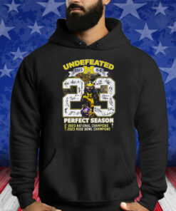 Michigan Wolverines Undefeated 2023 Perfect Season Shirts