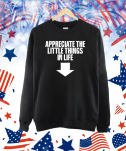 Appreciate The Little Things In Life TShirt