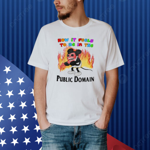 Jmcgg How It Feels To Be In The Public Domain Shirt