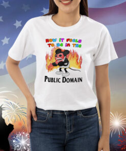 Jmcgg How It Feels To Be In The Public Domain Shirts