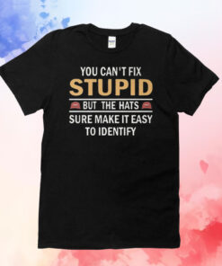 You Can’t Fix Stupid But The Hats Sure Make It Easy To Identify TShirt