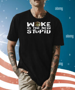 Anticommie Woke Is The New Stupid Shirt