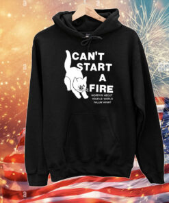 Can't Start A Fire Worrying' About Your Lil' World Falling' Apart T-Shirts