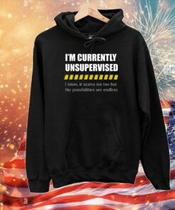 I'm Currently Unsupervised I Know It Scares Me Too But The Possibilities Are Endless T-Shirts