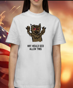 Outsidexbox Why Would God Allow This Shirts