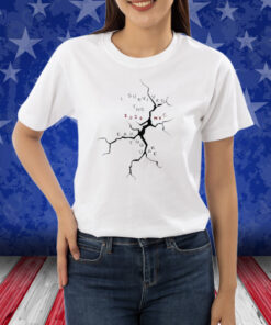I Survived The New York Earthquake Shirt