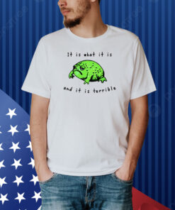 Shithead Steve Frog It Is What It Is And It Is Terrible Shirt