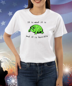 Shithead Steve Frog It Is What It Is And It Is Terrible Shirts