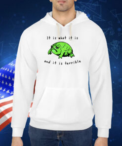 Shithead Steve Frog It Is What It Is And It Is Terrible TShirt
