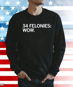 34 Felony Counts Wow Sweatshirt