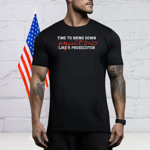 Political Shirt, Project 2025, End Project 2025 Shirt, Harris 2024 Tee Shirt