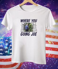 Where you going Joe Biden Tee Shirt